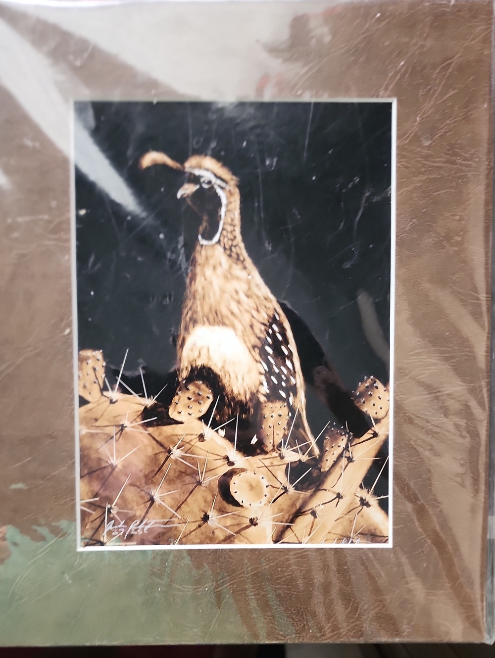 Brown Quail Reptile Habitat Art Print - Unbranded